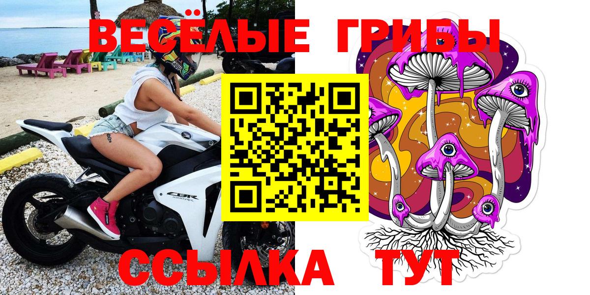 Чистополь  где найти   Вход с VPN  Псилоцибиновые грибы Psilocybe 