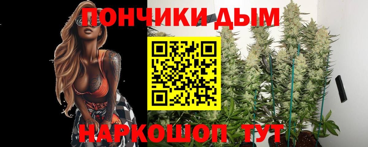 Шишки марихуана SATIVA & INDICA  Вход с VPN  Чистополь  Бошки марихуана SATIVA & INDICA  Бошки Шишки VHQ  Конопля тримм 